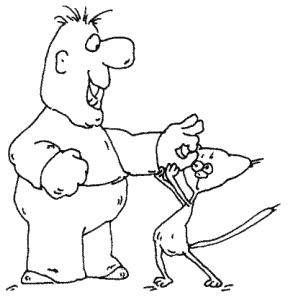 Иллюстрация к книге — Большая книга о новой жизни, которую никогда не поздно начать [_041.jpg]