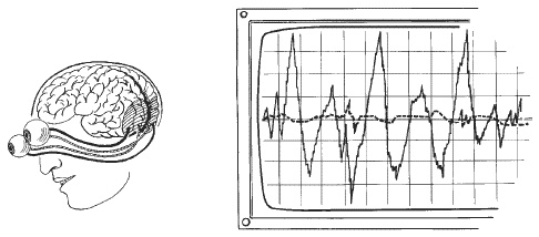 Иллюстрация к книге — Большая книга о новой жизни, которую никогда не поздно начать [_102.jpg]