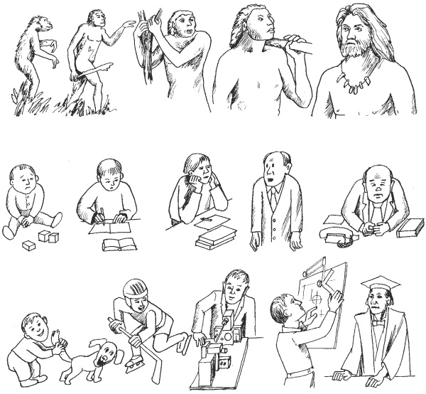 Иллюстрация к книге — Большая книга о новой жизни, которую никогда не поздно начать [_105.jpg]