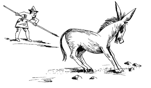 Иллюстрация к книге — Большая книга о новой жизни, которую никогда не поздно начать [_128.jpg]