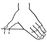 Иллюстрация к книге — Большая книга о новой жизни, которую никогда не поздно начать [_151_2.jpg]