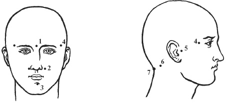 Иллюстрация к книге — Большая книга о новой жизни, которую никогда не поздно начать [_152.jpg]