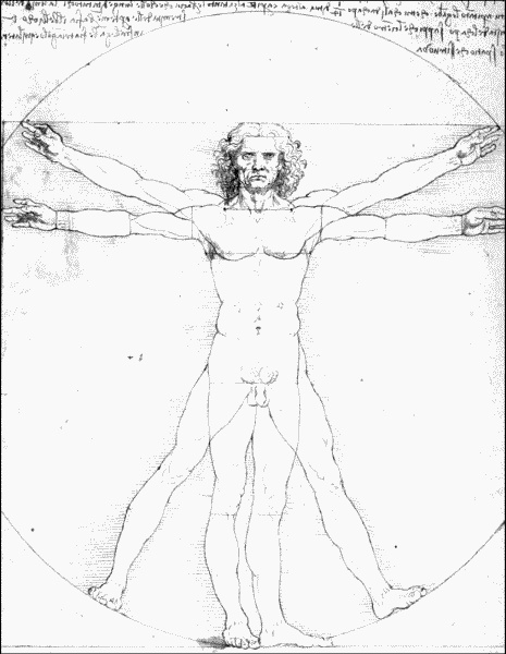 Иллюстрация к книге — Большая книга о новой жизни, которую никогда не поздно начать [_154.jpg]