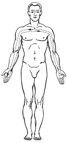 Иллюстрация к книге — Большая книга о новой жизни, которую никогда не поздно начать [_156.jpg]