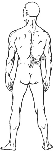 Иллюстрация к книге — Большая книга о новой жизни, которую никогда не поздно начать [_160.jpg]