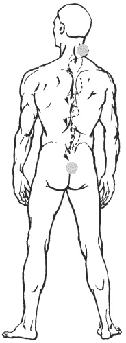 Иллюстрация к книге — Большая книга о новой жизни, которую никогда не поздно начать [_164.jpg]