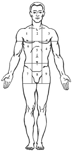 Иллюстрация к книге — Большая книга о новой жизни, которую никогда не поздно начать [_166.jpg]