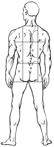 Иллюстрация к книге — Большая книга о новой жизни, которую никогда не поздно начать [_167.jpg]
