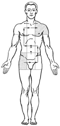 Иллюстрация к книге — Большая книга о новой жизни, которую никогда не поздно начать [_169.jpg]