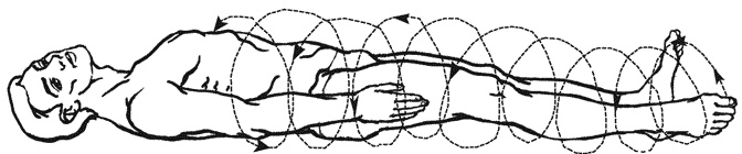 Иллюстрация к книге — Большая книга о новой жизни, которую никогда не поздно начать [_171.jpg]