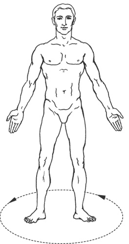 Иллюстрация к книге — Большая книга о новой жизни, которую никогда не поздно начать [_173.jpg]