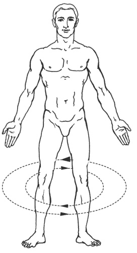 Иллюстрация к книге — Большая книга о новой жизни, которую никогда не поздно начать [_174.jpg]