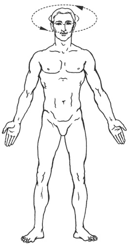 Иллюстрация к книге — Большая книга о новой жизни, которую никогда не поздно начать [_177.jpg]