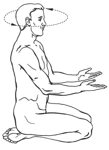 Иллюстрация к книге — Большая книга о новой жизни, которую никогда не поздно начать [_181.jpg]