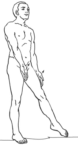 Иллюстрация к книге — Большая книга о новой жизни, которую никогда не поздно начать [_182.jpg]