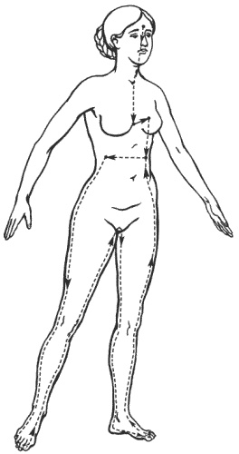 Иллюстрация к книге — Большая книга о новой жизни, которую никогда не поздно начать [_194.jpg]