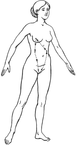 Иллюстрация к книге — Большая книга о новой жизни, которую никогда не поздно начать [_195.jpg]