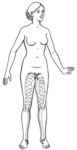 Иллюстрация к книге — Большая книга о новой жизни, которую никогда не поздно начать [_203.jpg]