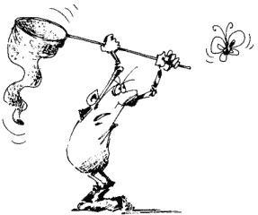 Иллюстрация к книге — Большая книга о новой жизни, которую никогда не поздно начать [_217.jpg]