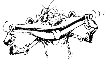 Иллюстрация к книге — Большая книга о новой жизни, которую никогда не поздно начать [_226.jpg]