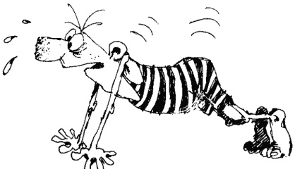 Иллюстрация к книге — Большая книга о новой жизни, которую никогда не поздно начать [_233.jpg]