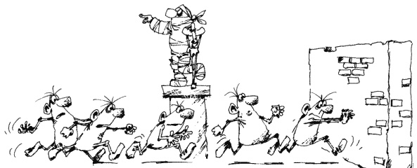 Иллюстрация к книге — Большая книга о новой жизни, которую никогда не поздно начать [_244.jpg]