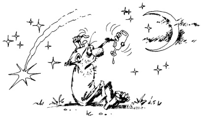 Иллюстрация к книге — Большая книга о новой жизни, которую никогда не поздно начать [_269.jpg]