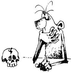 Иллюстрация к книге — Большая книга о новой жизни, которую никогда не поздно начать [_308.jpg]