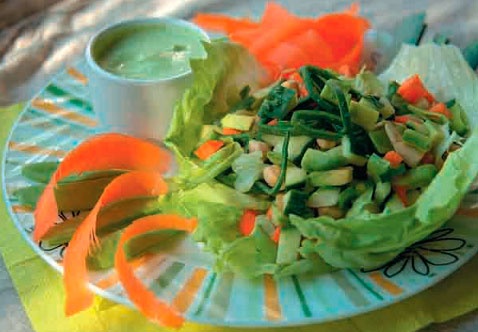 Иллюстрация к книге — Эко-кулинария: живая кухня. Умное сыроедение [i_018.jpg]