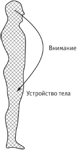 Иллюстрация к книге — Сила стихий в твоих руках. От человека до эгрегора [Autogen_eBook_id16.jpg]