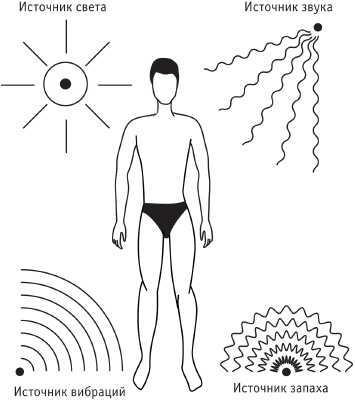 Иллюстрация к книге — Сила стихий в твоих руках. От человека до эгрегора [Autogen_eBook_id3.jpg]