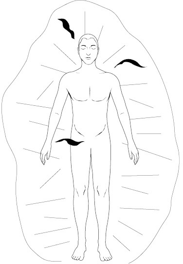 Иллюстрация к книге — Как видеть и читать ауру [i_042.jpg]