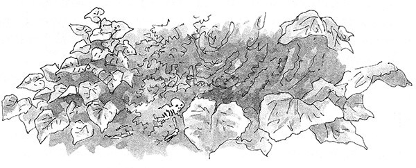 Иллюстрация к книге — Тоби Лолнесс. Книга 2. Глаза Элизы [i_009.jpg]