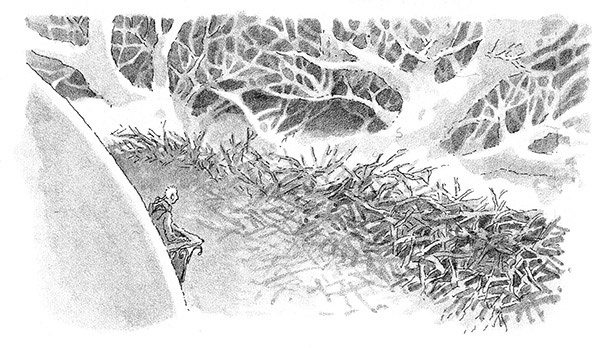 Иллюстрация к книге — Тоби Лолнесс. Книга 2. Глаза Элизы [i_070.jpg]