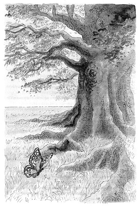 Иллюстрация к книге — Тоби Лолнесс. Книга 2. Глаза Элизы [i_101.jpg]