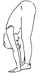 Иллюстрация к книге — Теория и практика йоги [Autogen_eBook_id43.jpg]