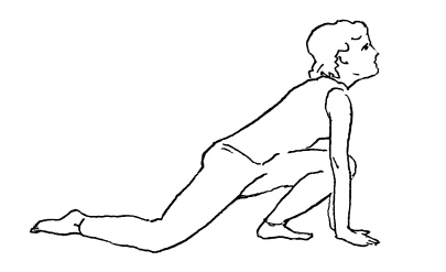 Иллюстрация к книге — Теория и практика йоги [Autogen_eBook_id44.jpg]