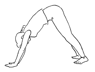 Иллюстрация к книге — Теория и практика йоги [Autogen_eBook_id45.jpg]