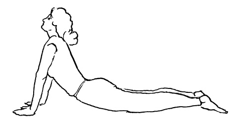 Иллюстрация к книге — Теория и практика йоги [Autogen_eBook_id47.jpg]