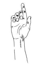 Иллюстрация к книге — Теория и практика йоги [Autogen_eBook_id52.jpg]