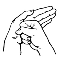 Иллюстрация к книге — Теория и практика йоги [Autogen_eBook_id55.jpg]