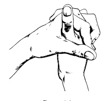 Иллюстрация к книге — Теория и практика йоги [Autogen_eBook_id56.jpg]