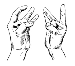 Иллюстрация к книге — Теория и практика йоги [Autogen_eBook_id63.jpg]