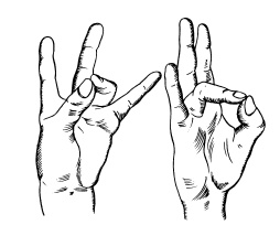 Иллюстрация к книге — Теория и практика йоги [Autogen_eBook_id67.jpg]