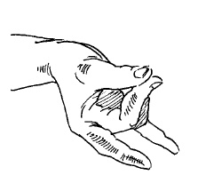 Иллюстрация к книге — Теория и практика йоги [Autogen_eBook_id91.jpg]