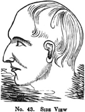 Иллюстрация к книге — Феномен полиглотов [i_003.jpg]