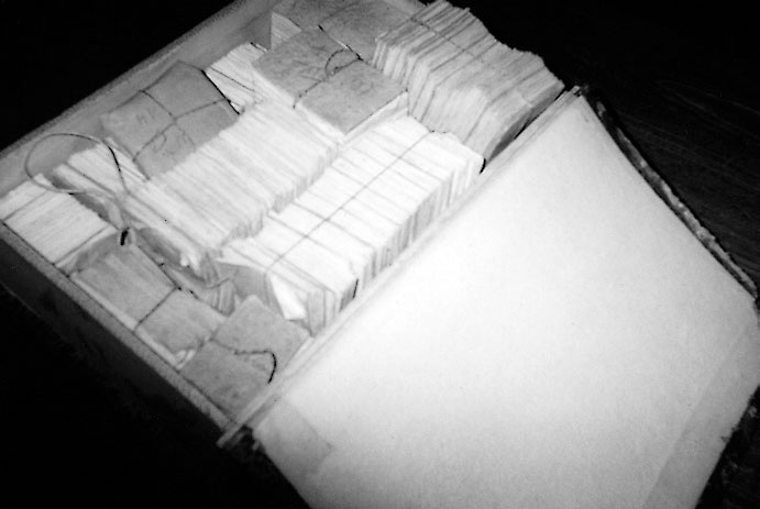 Иллюстрация к книге — Феномен полиглотов [i_019.jpg]