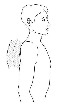 Иллюстрация к книге — Эгрегоры человеческого мира. Логика и навыки взаимодействия [i_047.jpg]
