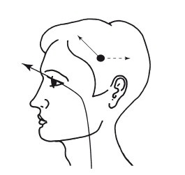 Иллюстрация к книге — Эгрегоры человеческого мира. Логика и навыки взаимодействия [i_051.jpg]