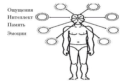 Иллюстрация к книге — Эгрегоры человеческого мира. Логика и навыки взаимодействия [i_063.jpg]